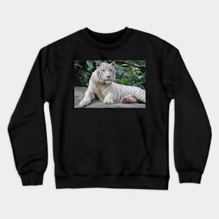 White Tiger 4 Crewneck Sweatshirt